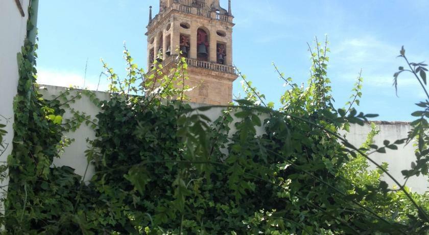 Entre 2 Mezquitas Apartamento 8 Kordoba Zewnętrze zdjęcie